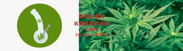экстази Бородино