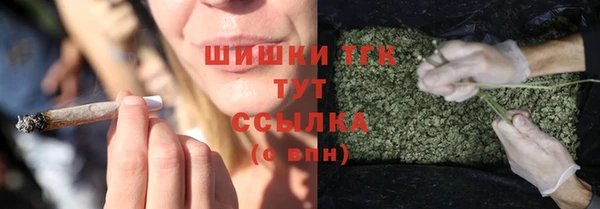 дживик Верея
