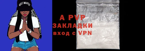 дживик Верея
