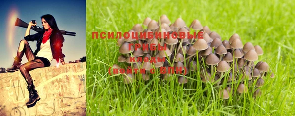 mdpv Верхний Тагил